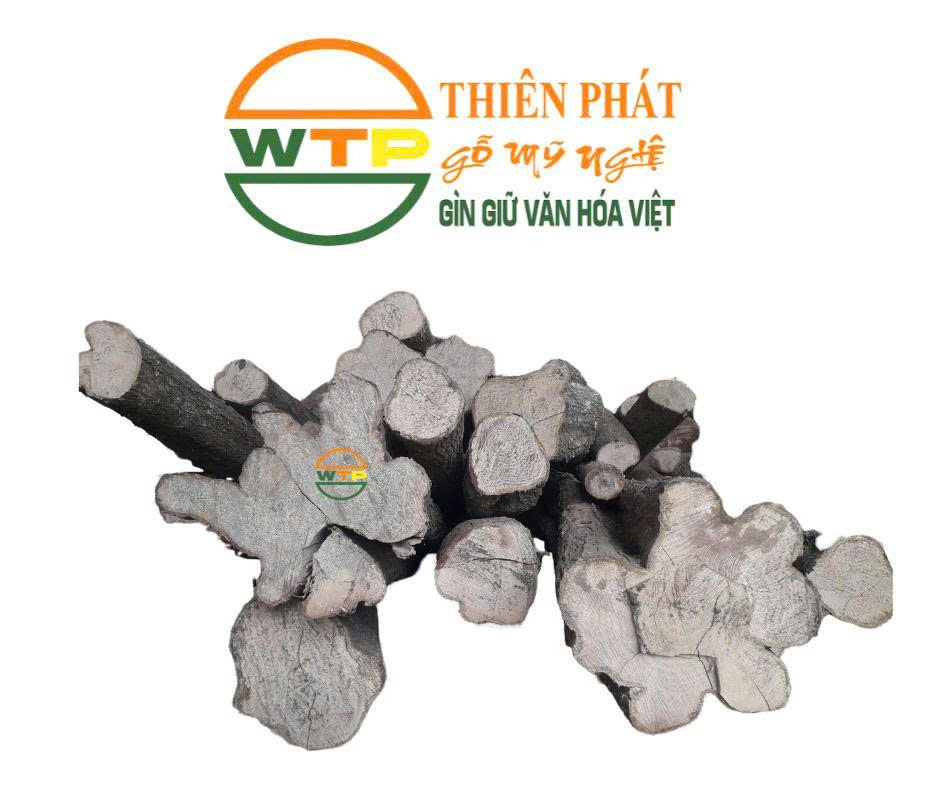 Mặt cắt gỗ lồng mức màu trắng kem mịn màng tự nhiên